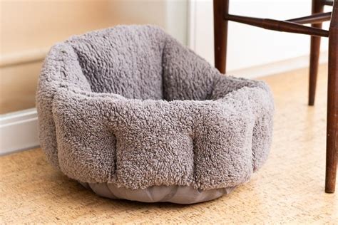 The Best Cat Beds (According to Our Cats) | Reviews by Wirecutter