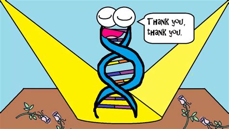 Why RNA is Just as Cool as DNA! by Amoeba Sisters. | Al-Madinah School