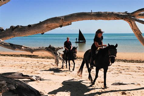 Beach riding and riding holidays in Mozambique | Equus Journeys