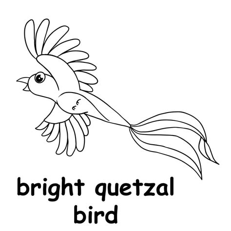 kids line illustration coloring bright quetzal bird. outline vector for children. cute cartoon ...