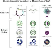 Biomaterials as vectors for the delivery of CRISPR–Cas9 - Biomaterials Science (RSC Publishing)