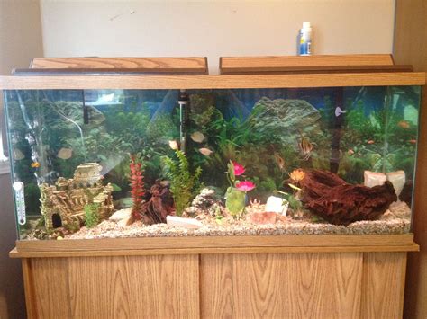 +13 Fish Tank Ideas 55 Gallon 2022