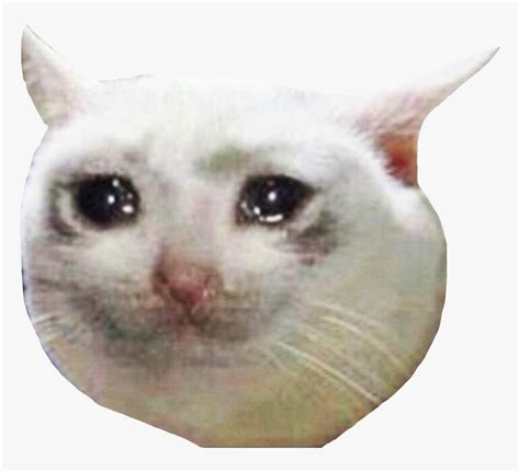 Crying Cat - Crying Cat Eyes Transparent, HD Png Download , Transparent Png Image - PNGitem