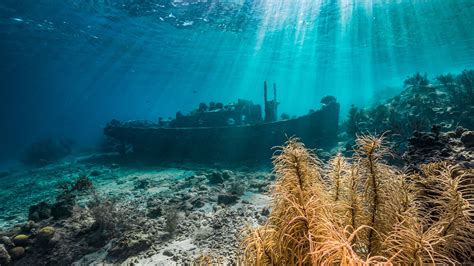 Snorkeling In Curacao: The 10 Best Spots To Snorkel | Sandals