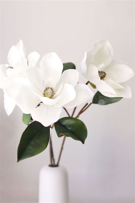 Simple Magnolia Flower Arrangement for Home Decor | Magnolia flower, Flower arrangements, Flower ...