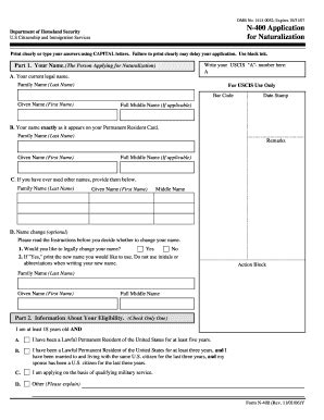 Form N-400 Templates - Fillable & Printable Samples for PDF, Word ...