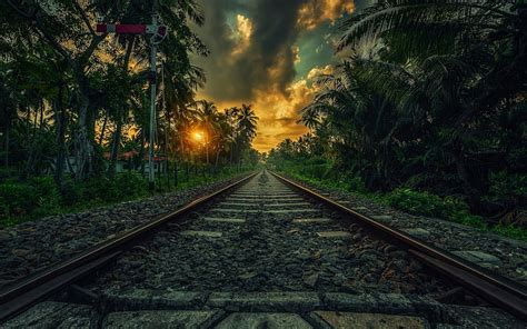 1125x2436px | free download | HD wallpaper: nature, Sri Lanka, railway ...