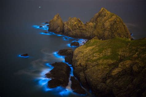 The 10 Best Beaches to See Bioluminescence