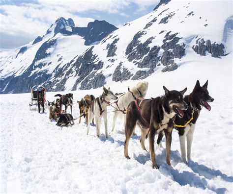 A Guide to Mushing in Alaska - Insight Vacations