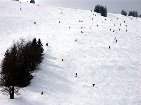 Ski slope stock image. Image of firs, mountains, recreation - 611365