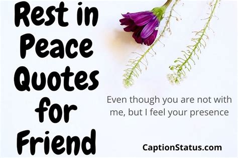 100+ Rest in Peace Quotes (RIP Message) for Parents, Family & Friends