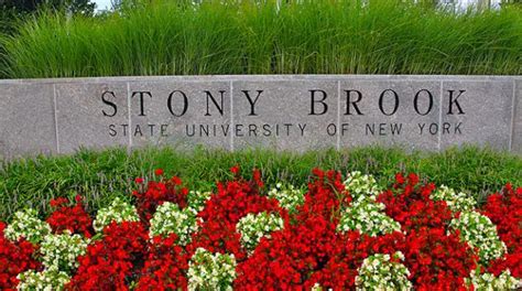 Top SUNY Schools 2018 - 2022 HelpToStudy.com 2023