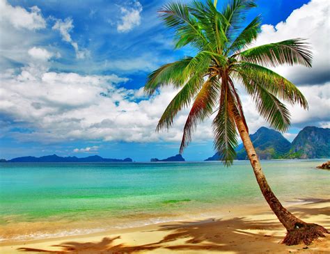 Tropical Beach Pictures Wallpaper : Tropical Beach Pictures Wallpapers ...