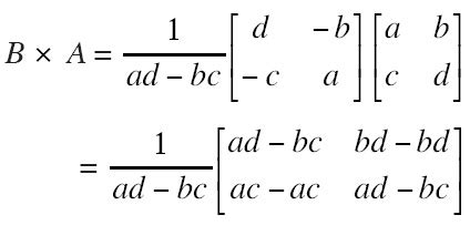 Invers Matriks | Contoh dan Penyelesain Matrix