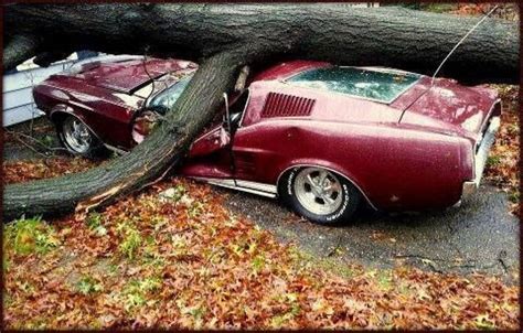 wrecked muscle cars for sale 34235335 | Car crash, Muscle cars, Classic ...