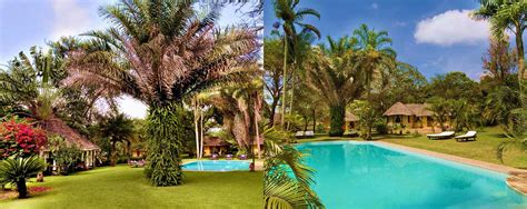 Photos, Images & Pictures For Arusha Safari Lodge In Arusha, Tanzania - AfricanMecca Safaris & Tours