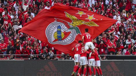 Benfica se consagró campeón de la liga de Portugal - TyC Sports