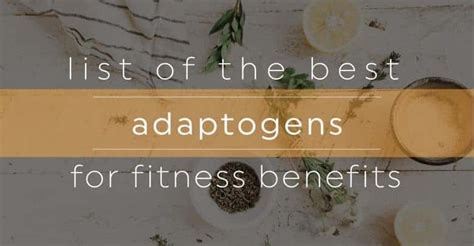 What’s Up With Adaptogen Supplements? – 20 Fit