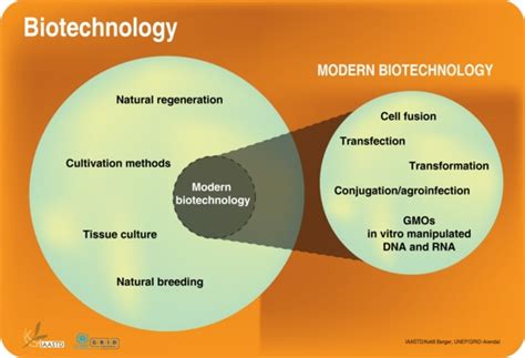 Biotechnology and modern biotechnology defined | GRID-Arendal