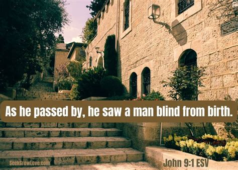 Jesus heals man born blind – SeekGrowLove.com