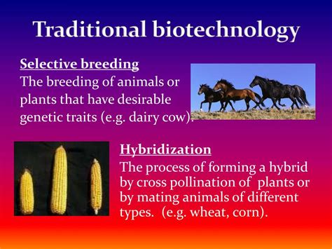 PPT - From making bread to making new DNA PowerPoint Presentation, free download - ID:1605068