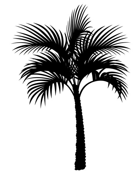 Palm Tree Silhouette Clipart Free Stock Photo - Public Domain Pictures