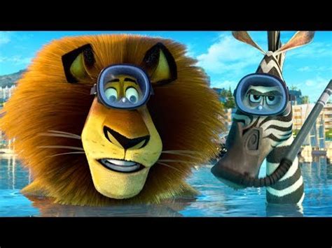 DreamWorks Madagascar | Baby Alex Kidnapped! | Madagascar Movie Clip - VidoEmo - Emotional Video ...