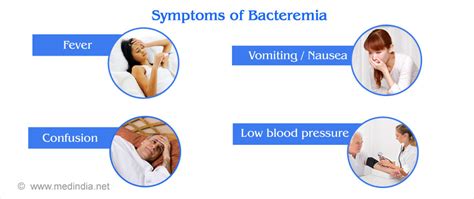 Bacteremia - Causes, Symptoms, Diagnosis, Treatment, Prevention