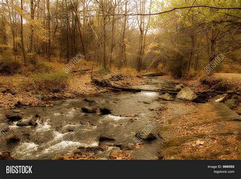 Babbling Brook Image & Photo (Free Trial) | Bigstock