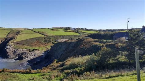 Dog walk at Pembrokeshire Coastal Path Trefin To Porthgain · Pembrokeshire · Walkiees