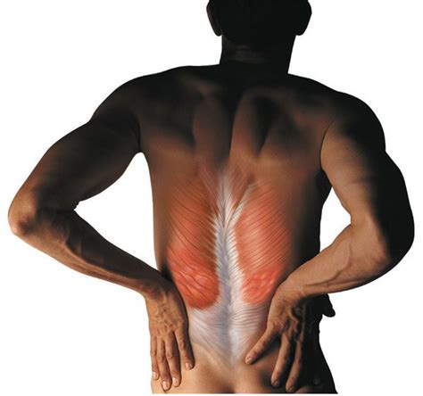 Muscle spasms-what to do when they happen?! - Reform Physiotherapy and Pilates