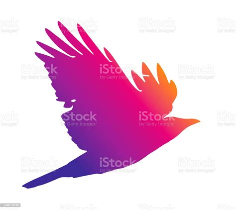 Raven Flying With Spread Wings On White Background Stock Illustration ...