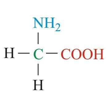 Amino Acids, Amino Acids MCAT Flashcards | Quizlet