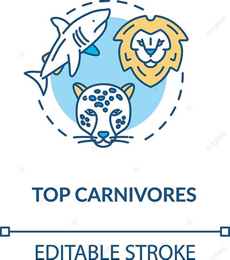 Apex Predator Concept Icon With Land And Sea Animals Vector, Shark ...