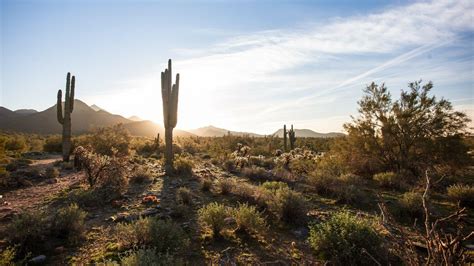 Sonoran Desert Wallpapers - Top Free Sonoran Desert Backgrounds ...