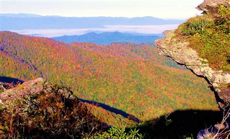 Craggy Gardens Nc Waterfall - Beautiful Insanity