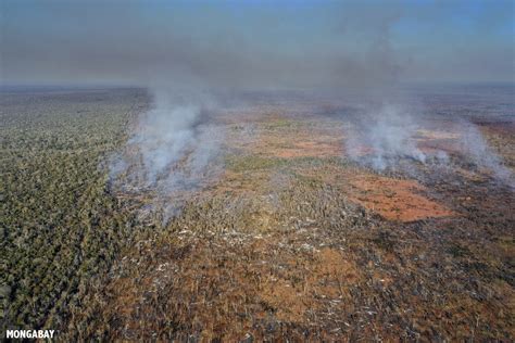 DEFORESTATION IN MADAGASCAR for Kids