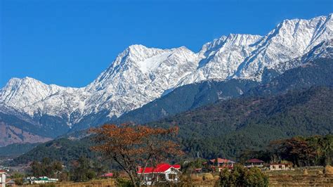 Palampur - Snow Monk Camp