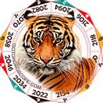 Leo Tiger Horoscope, The Affectionate Leo Tiger Personality Character Traits