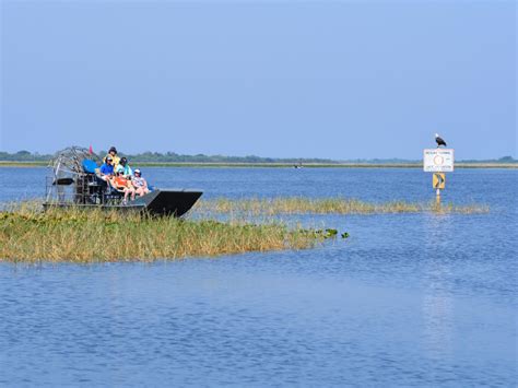 Kissimmee Swamp Tours | Experience Kissimmee