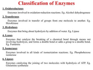 Enzymes definitions, types & classification | PPT