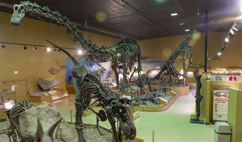 Museum – Wyoming Dinosaur Center