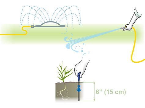 How to Maintain Bermuda Grass (with Pictures) - wikiHow