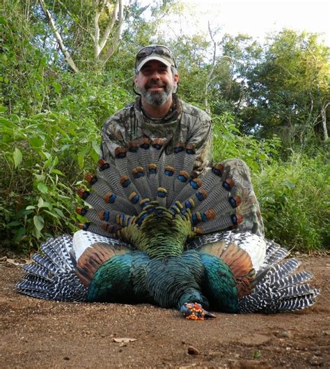 Steve Hickoff: Ocellated Turkey Hunting Photo Essay