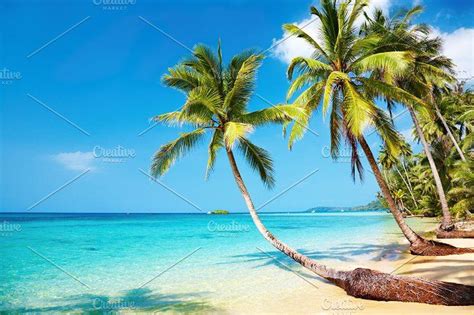 Tropical beach containing sky, sea, and tree | Beach wallpaper, Tropical beaches, Beach images