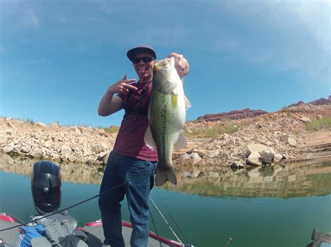 secret fishing spots in arizona - replenskiarlen