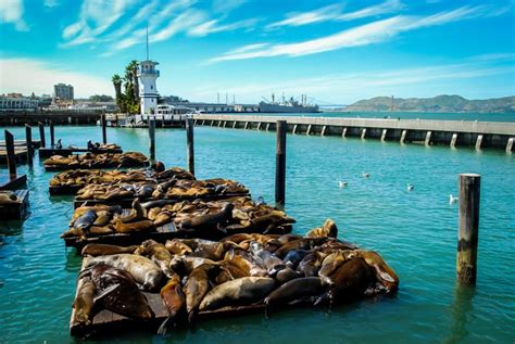 Fisherman’s Wharf - Golden Gate