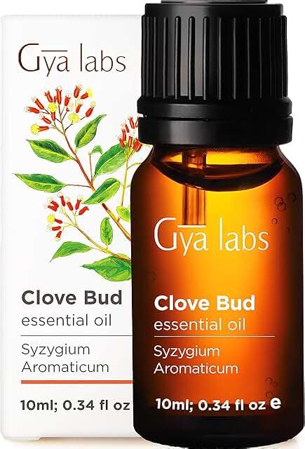 Amazon.co.uk: clove oil for toothache