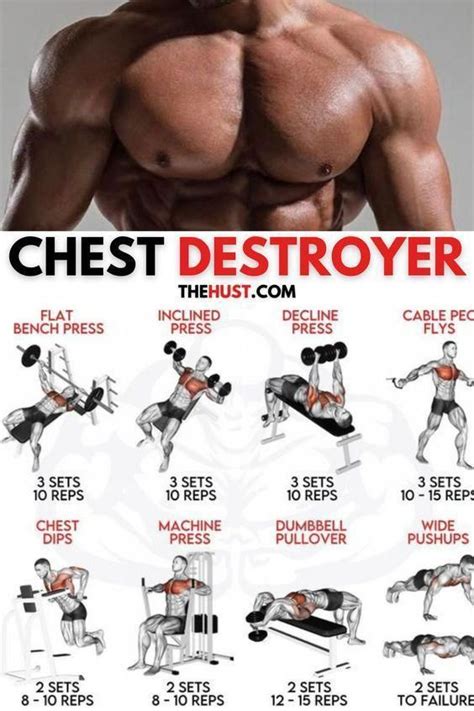 15 Efficient chest Workouts To Build Might & Muscle - Virimi ...