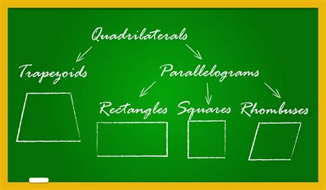 Properties of Quadrilaterals - Rectangle, Square, Parallelogram, Rhombus, Trapezium | 2023